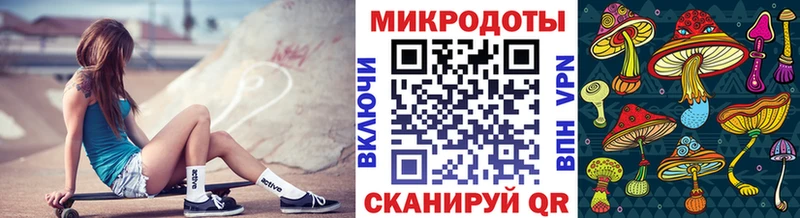Псилоцибиновые грибы Psilocybine cubensis  Лесной 